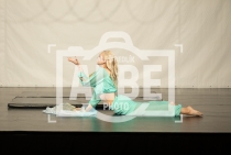 3. part b) - Artistic Hoop, Artistic Aerial Pole