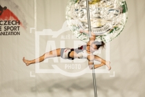 3. part c) - Artistic Hoop, Artistic Aerial Pole