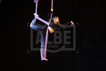 18. AERIAL ART SHOW