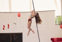 Flying Pole